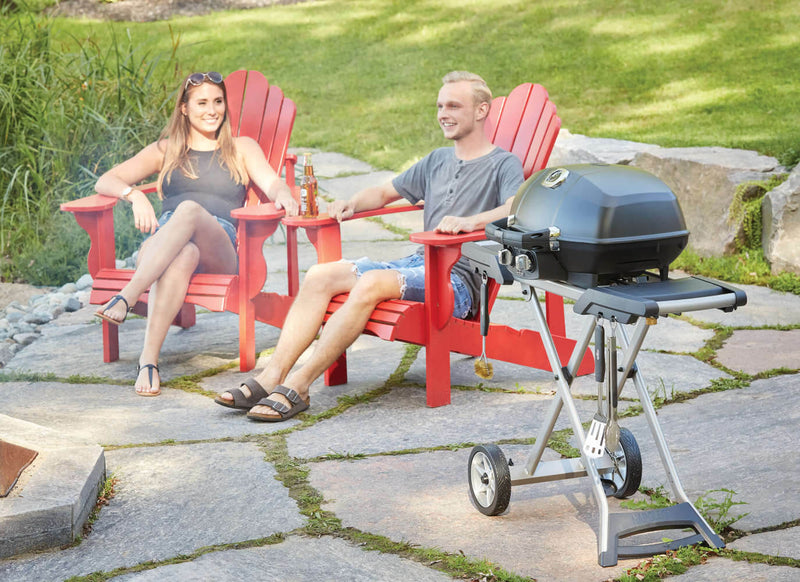 Load image into Gallery viewer, TravelQ™ PRO285X with Scissor Cart
