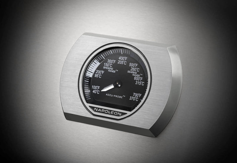 Load image into Gallery viewer, Rogue® XT 425 SIB with Infrared Side Burner (Propane)
