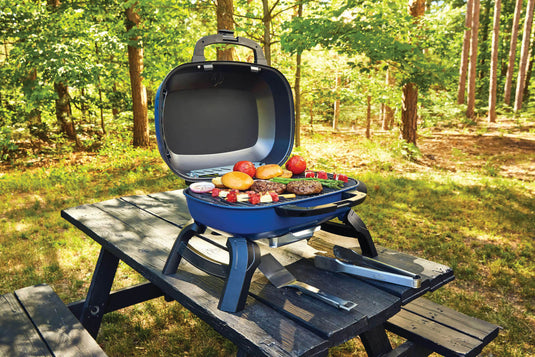 TravelQ™ 240 Portable Gas Grill