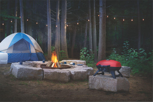 TravelQ™ 285 with Griddle