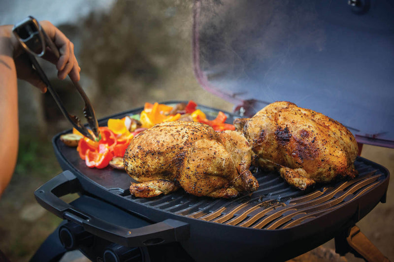 Load image into Gallery viewer, TravelQ™ 285 with Griddle
