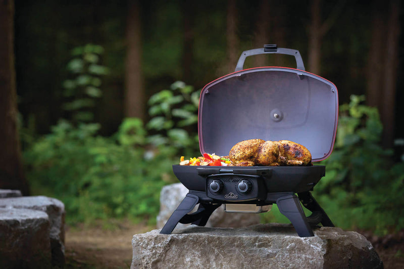 Load image into Gallery viewer, TravelQ™ 285 with Griddle
