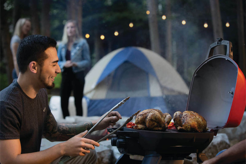Load image into Gallery viewer, TravelQ™ 285 with Griddle
