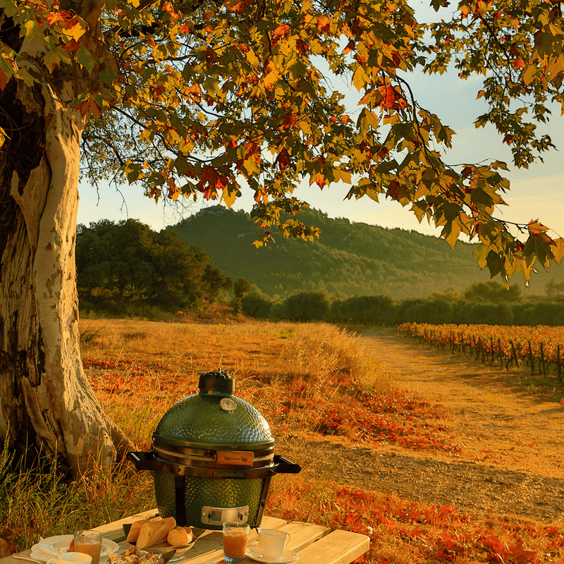Load image into Gallery viewer, MiniMax Big Green Egg Package
