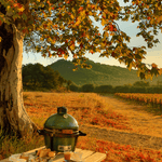 Load image into Gallery viewer, MiniMax Big Green Egg Package
